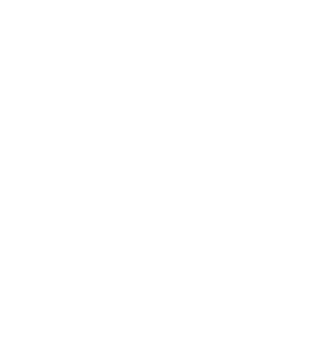 Logo SEIO